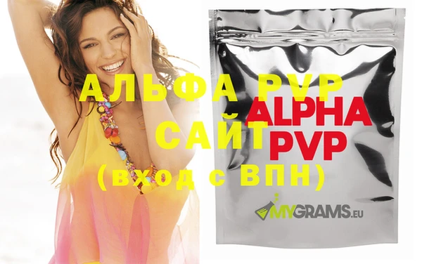 стаф Осинники