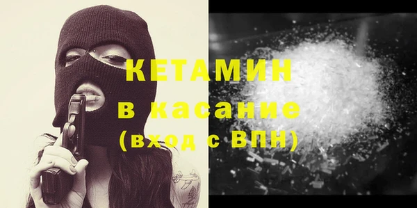 стаф Осинники