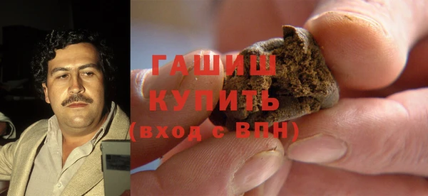 стаф Осинники