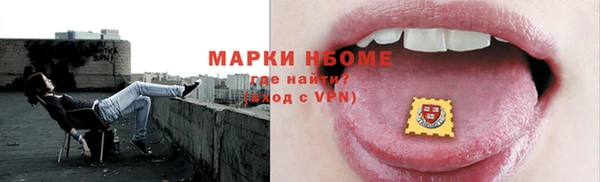 стаф Осинники