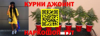 скорость Новокубанск