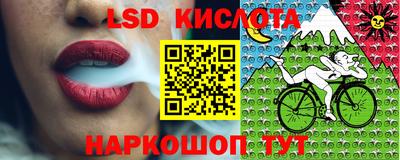 mdma Новозыбков