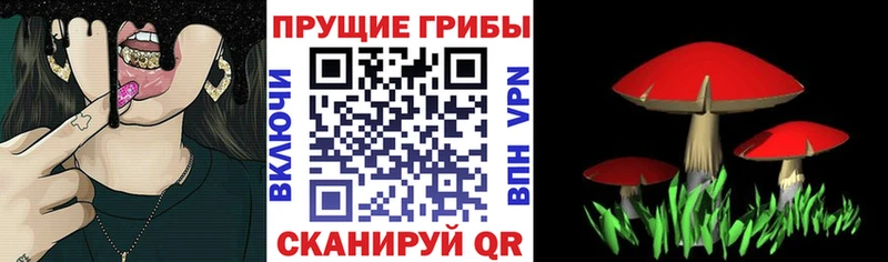 блэк спрут ссылка  Холмск  Псилоцибиновые грибы мухоморы 