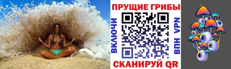 Галлюциногенные грибы мицелий Холмск