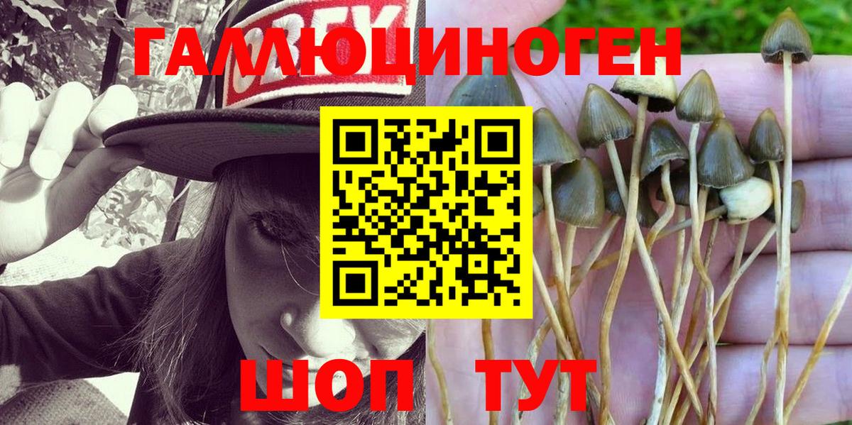 Псилоцибиновые грибы мухоморы Холмск