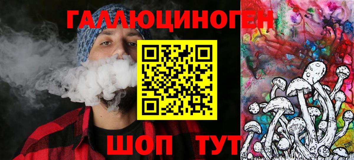 Холмск  Псилоцибиновые грибы MAGIC MUSHROOMS  купить наркотик  Вход с VPN 
